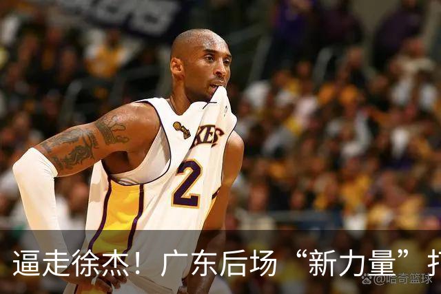 逼走徐杰！广东后场“新力量”打成大腿，杜锋为他放弃控卫外援！